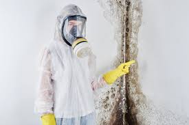 Asbestos and Lead Testing During Mold Inspection in Morningside, MD